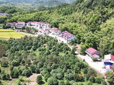 黨建引領繪藍圖  鄉村振興入畫來